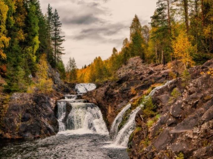 Охотничьи туры в карелию